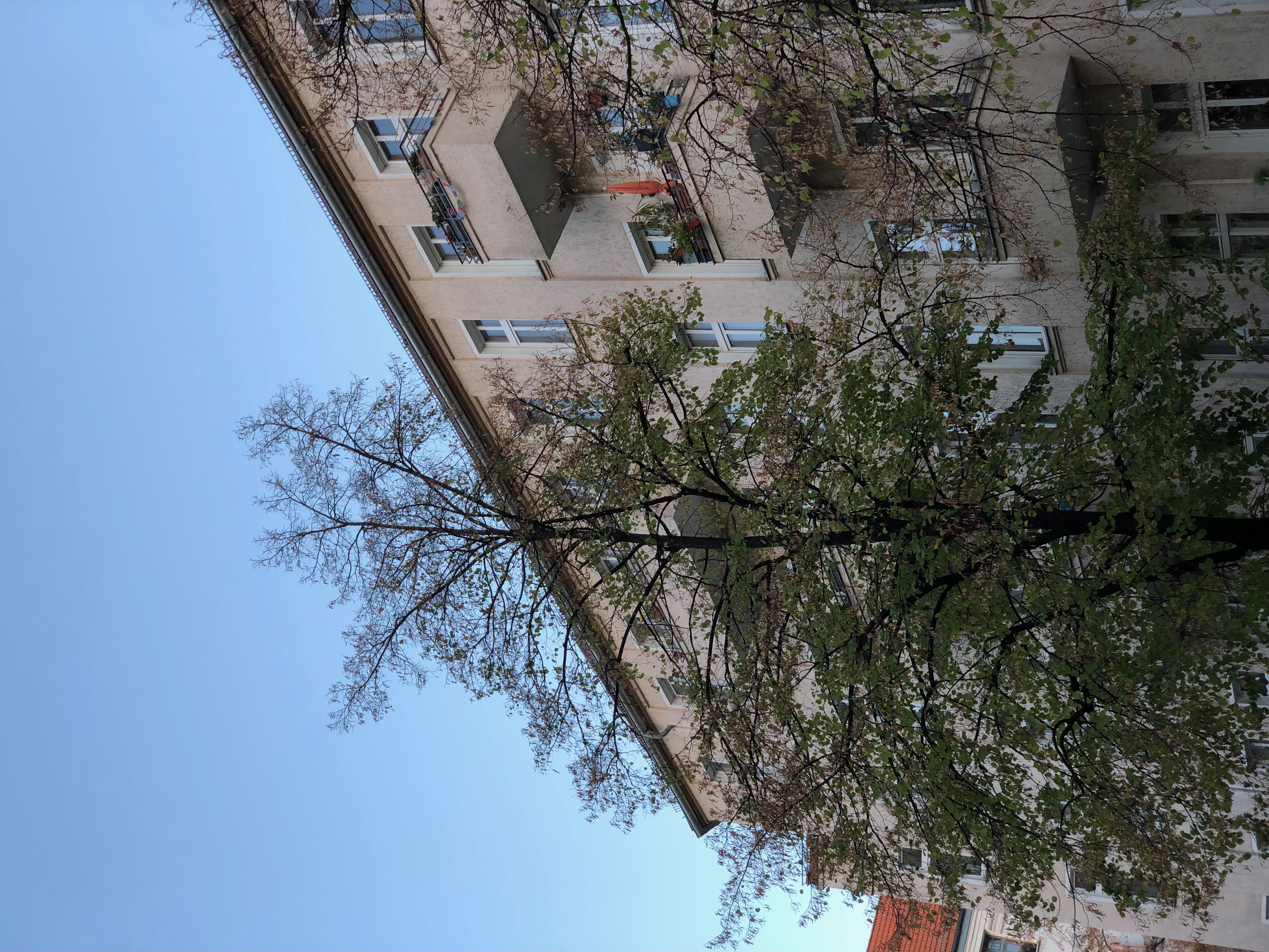 IMG_9192.jpeg