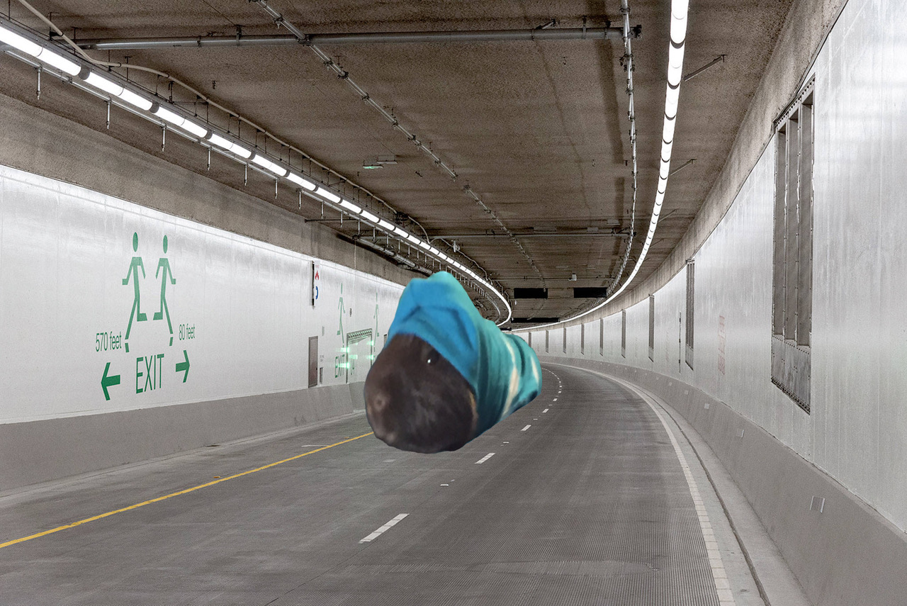 Highway-99-Tunnel+with+bb.jpeg