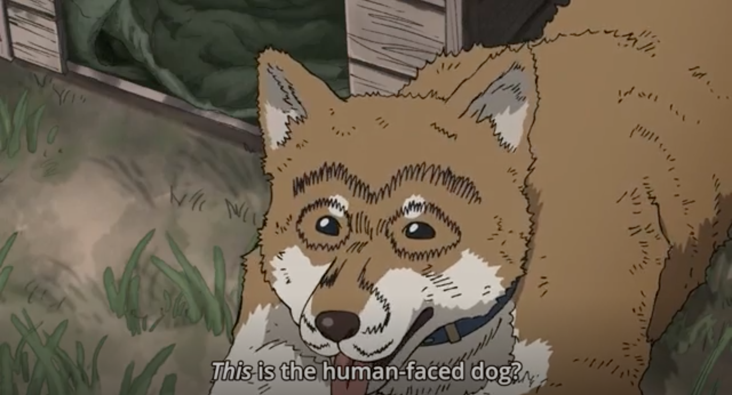 Screen+Shot+2019-02-15+at+11.18.53+AM.png