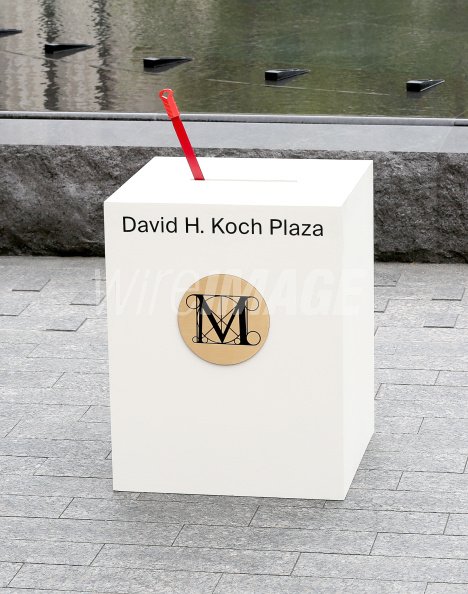 koch-lever-metmuseum-gettyimages-455036718.jpg