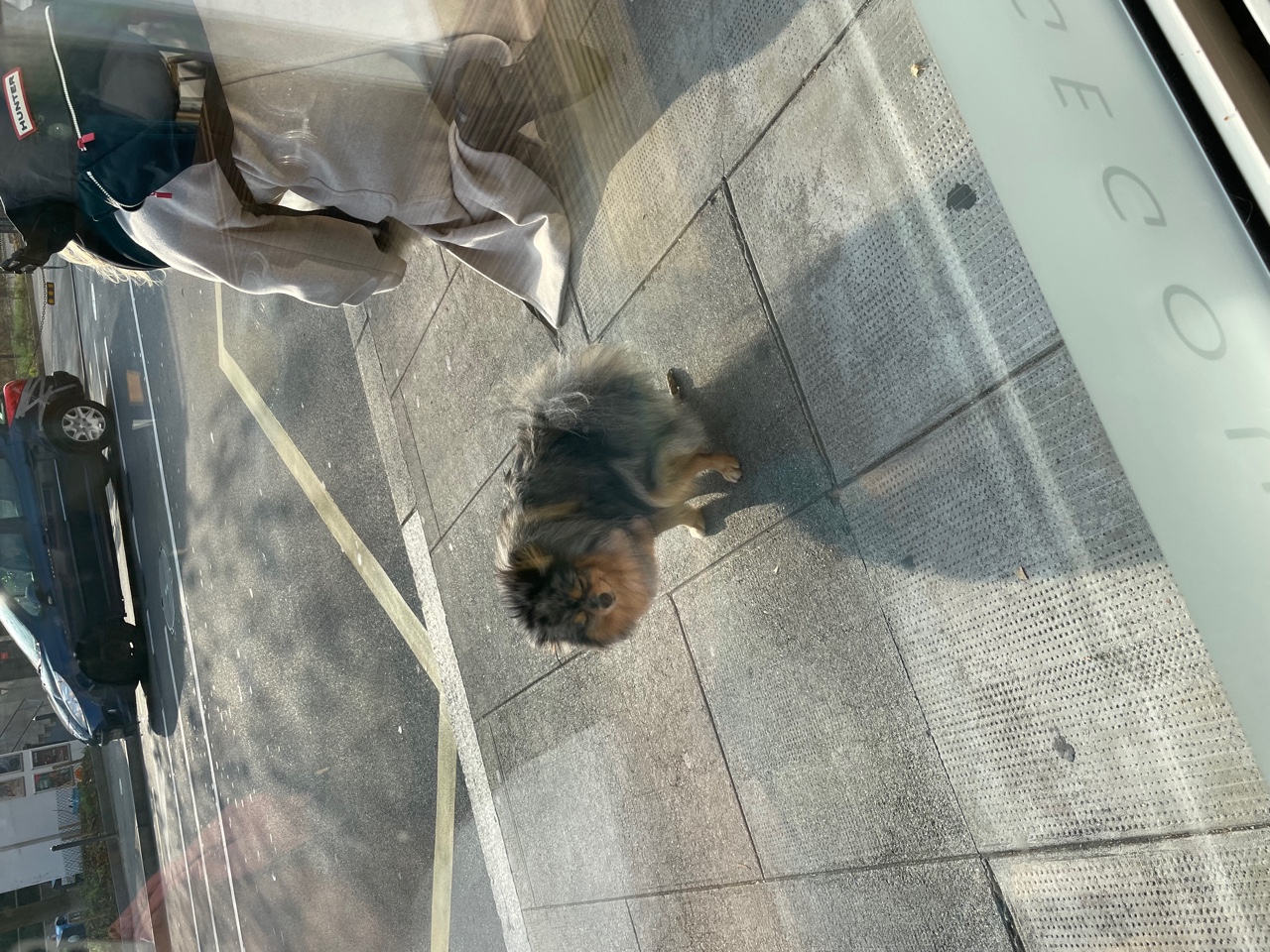IMG_7126.jpeg