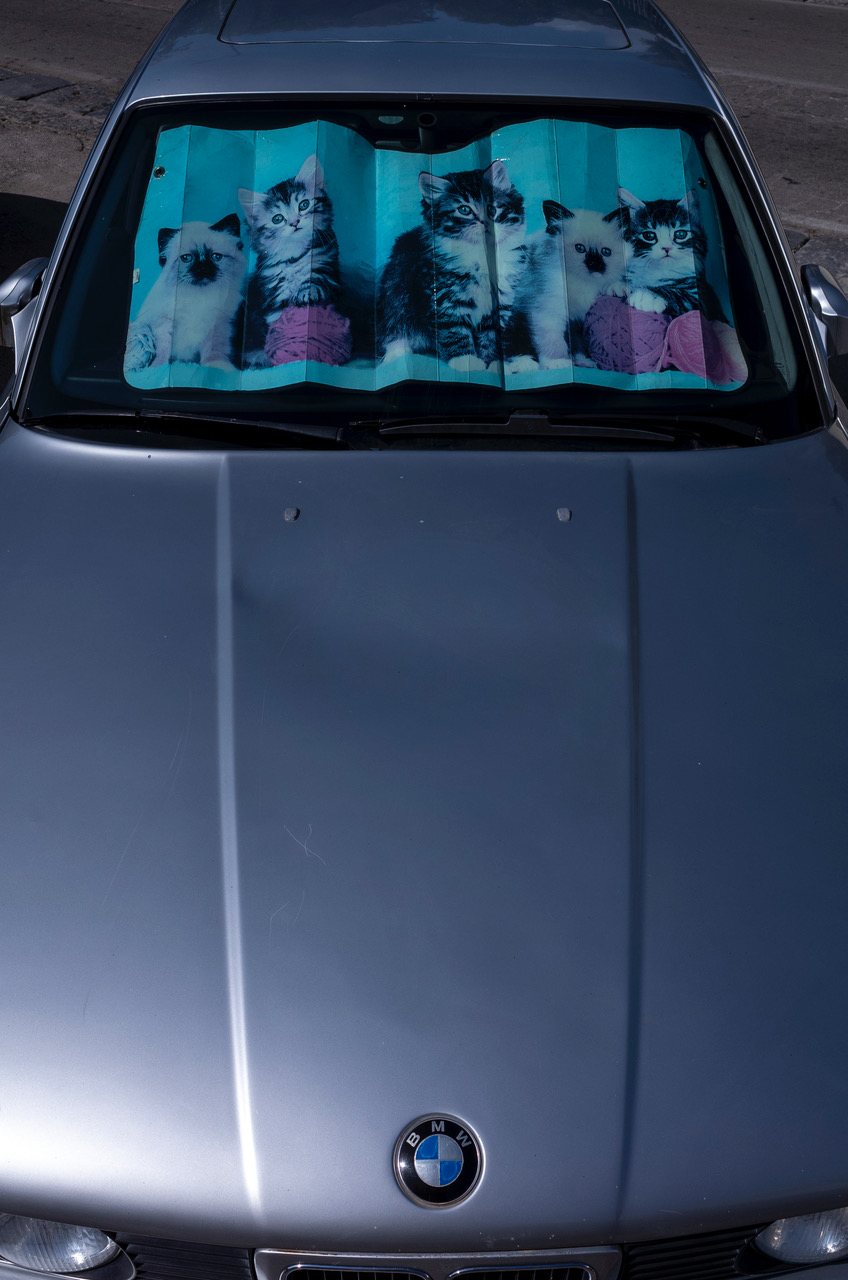 R0003733.jpeg