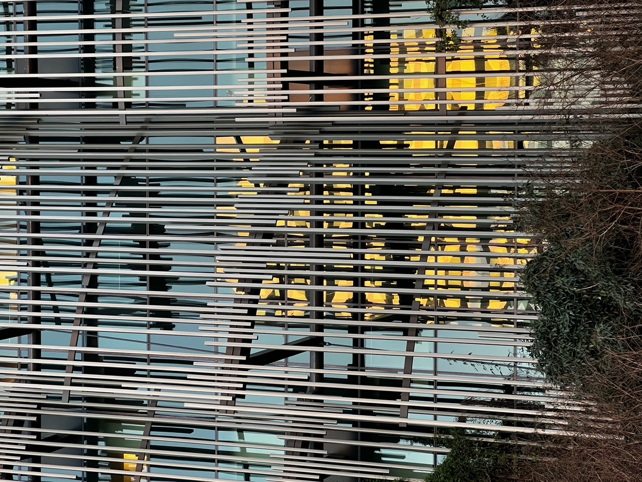 IMG_2791+2.jpeg
