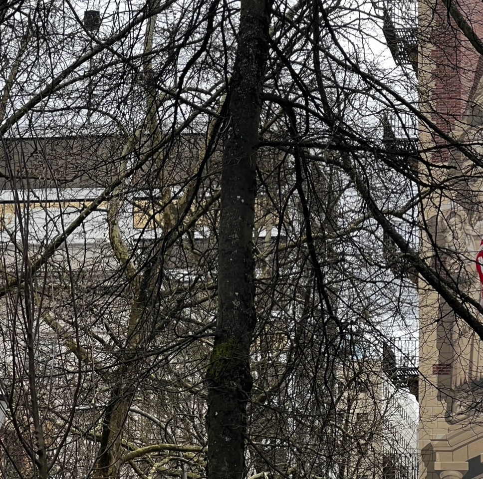 IMG_3010.jpeg