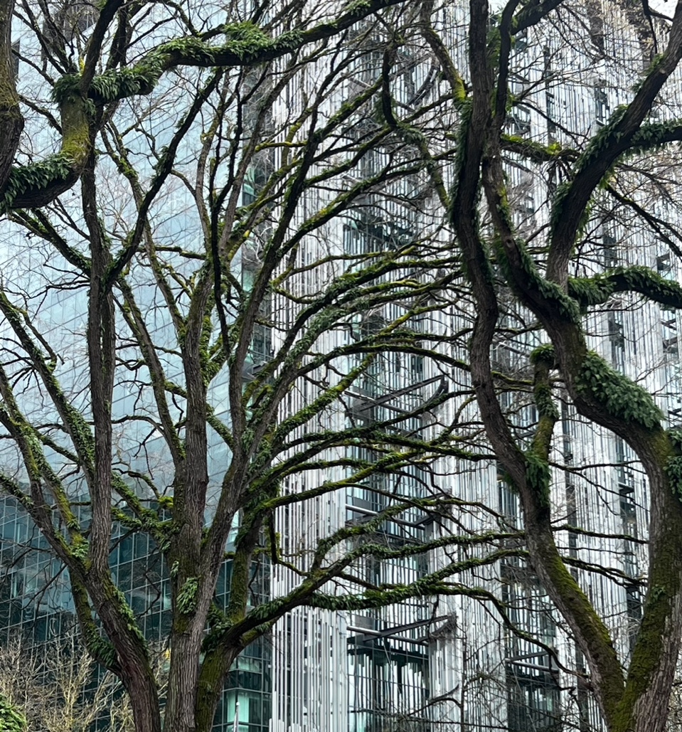 IMG_3015+2.jpeg