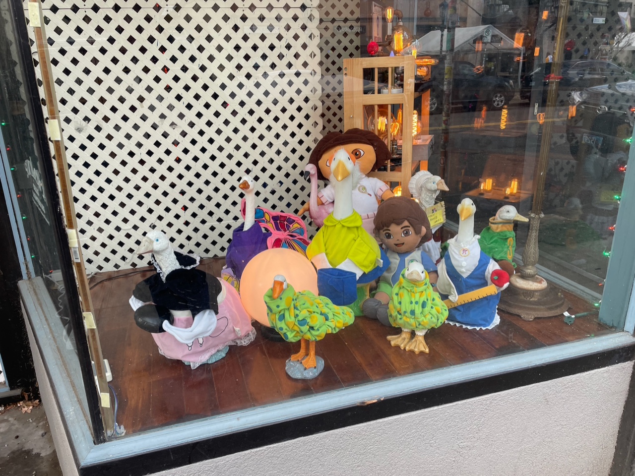 IMG_0269.jpeg