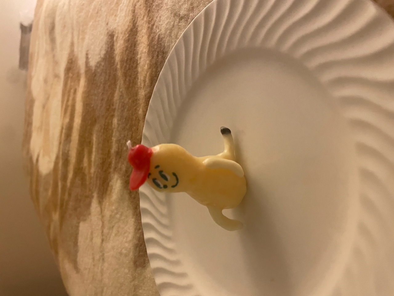 IMG_4482+3.jpeg