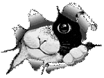 %21%21d8I0Tg%213U~%24%28KGrHgoH-DQEjlLl%29,B+BJ7kd,FNGg~~_7.GIF
