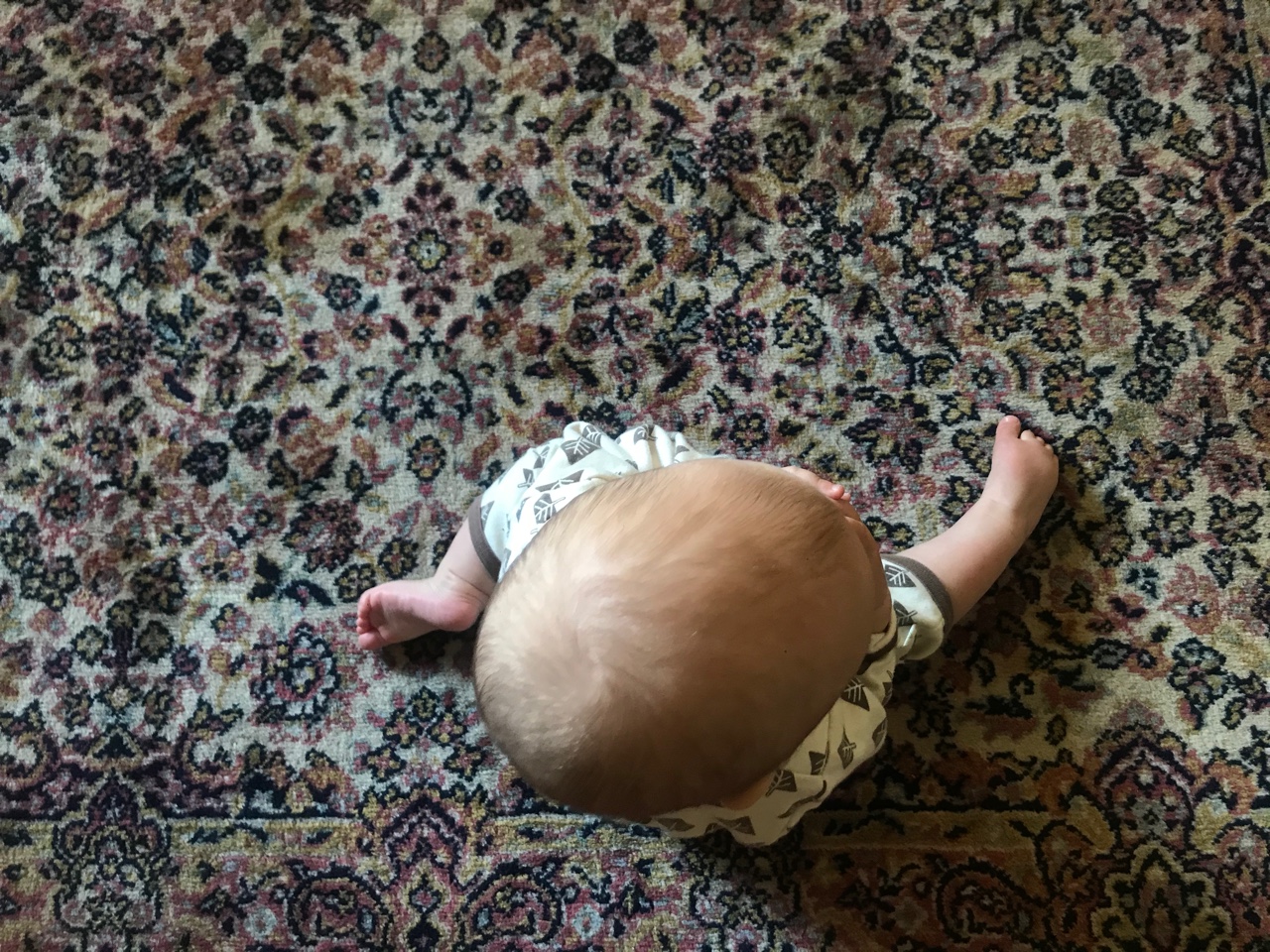 IMG_5405.jpeg