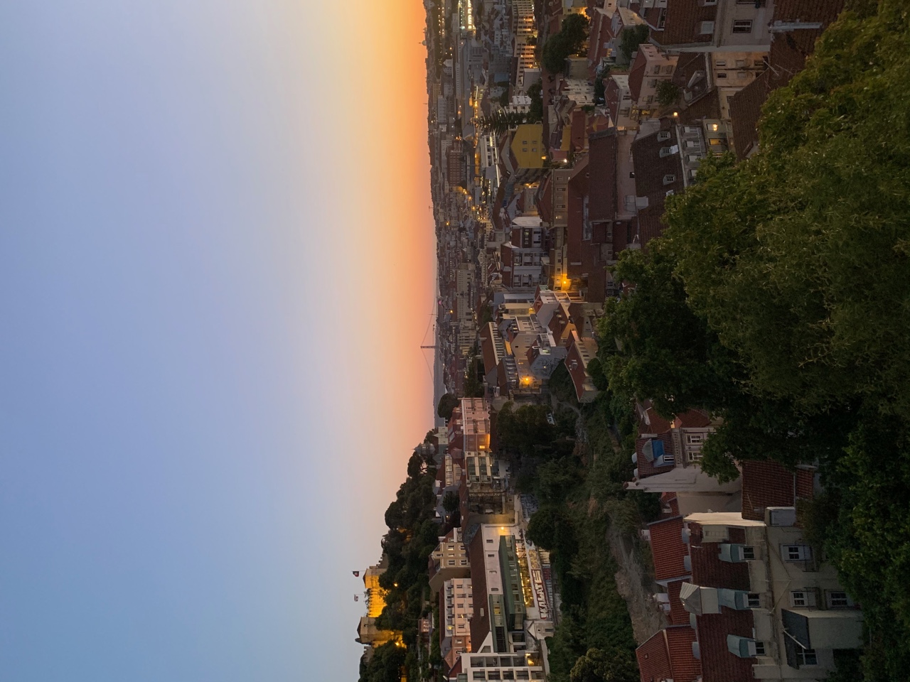 IMG_9520.jpeg