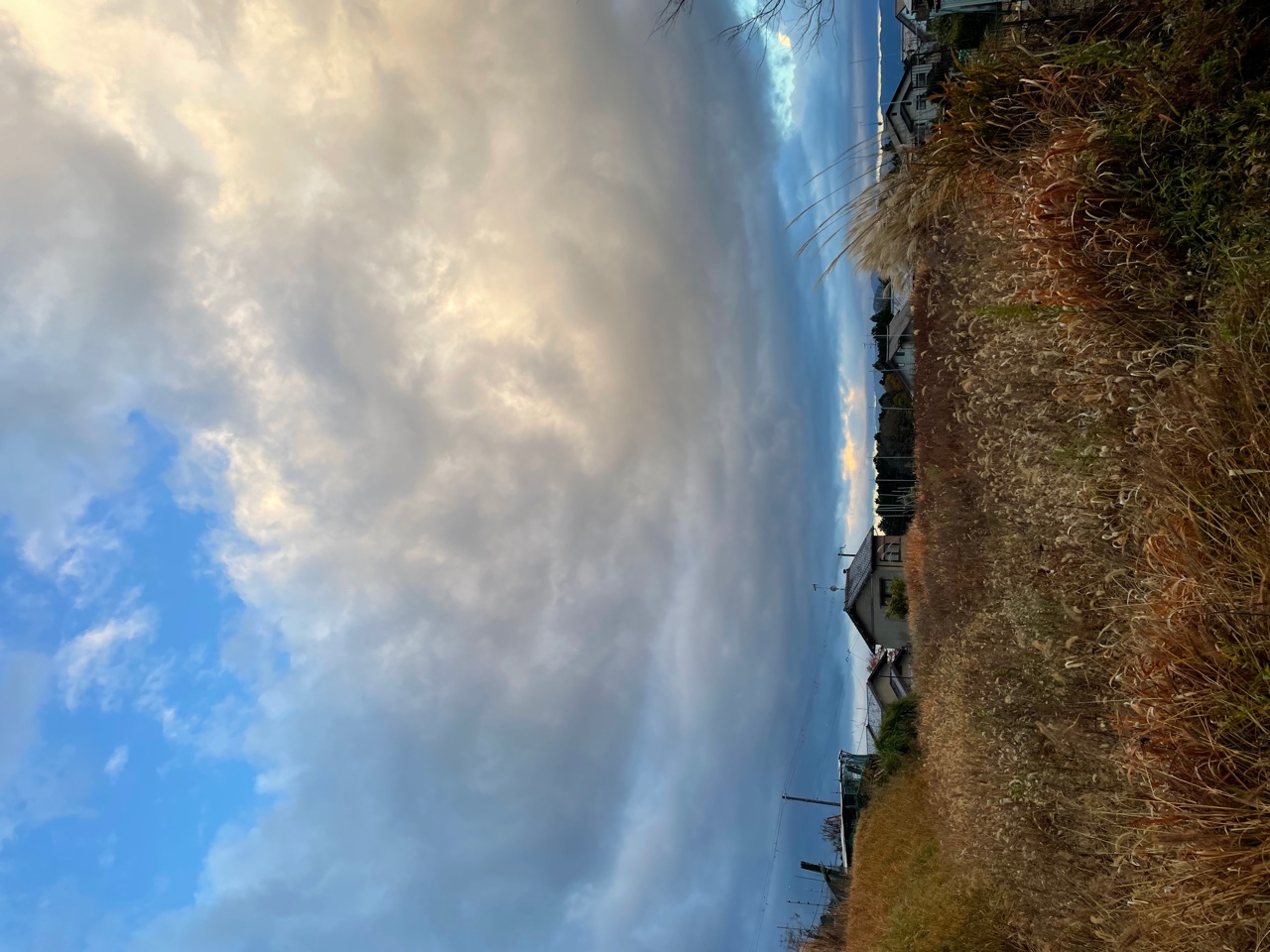 IMG_3278+2.jpeg