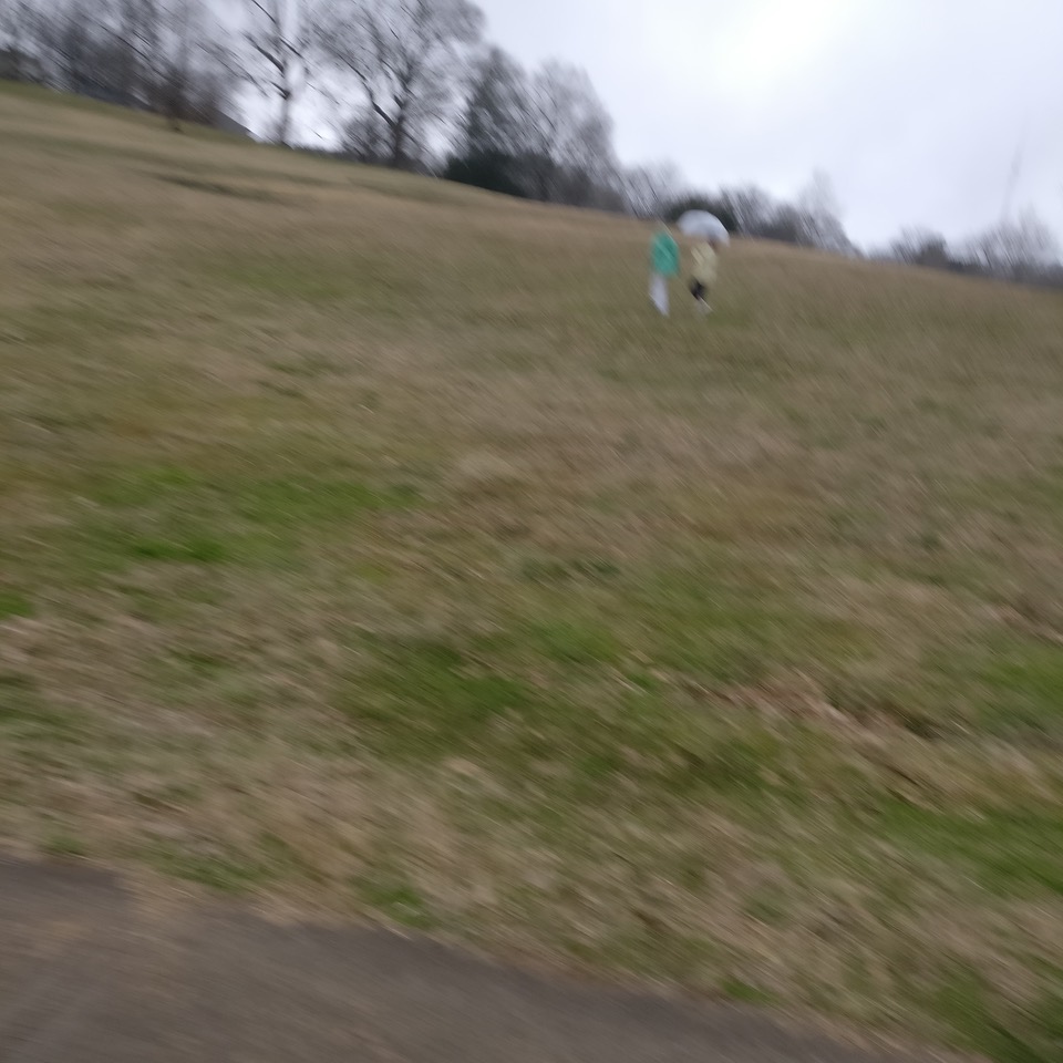 IMG_20210206_153838.jpeg