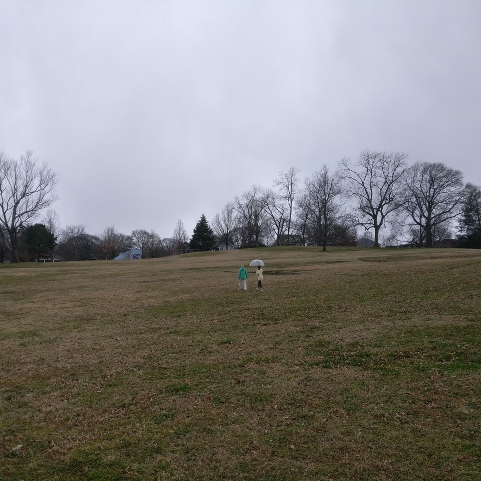 IMG_20210206_153846.jpeg