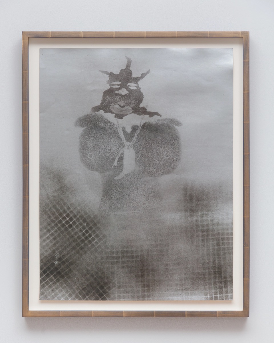 Drawing-Center_David-Hammons_CO0A2630_Photo-by-Daniel-Terna.jpg.jpeg