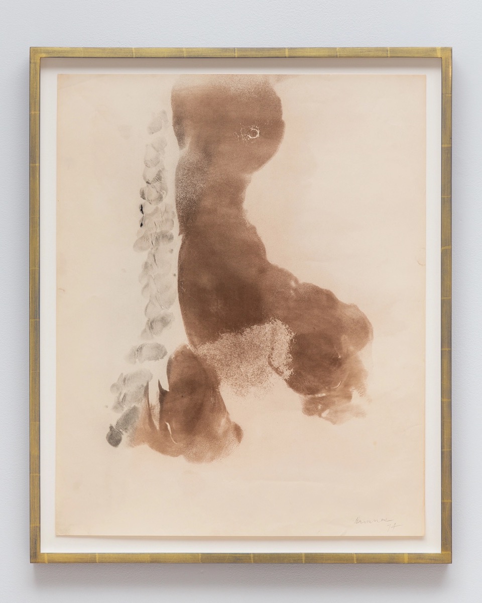 Drawing-Center_David-Hammons_CO0A2637-2_Photo-by-Daniel-Terna.jpg.jpeg
