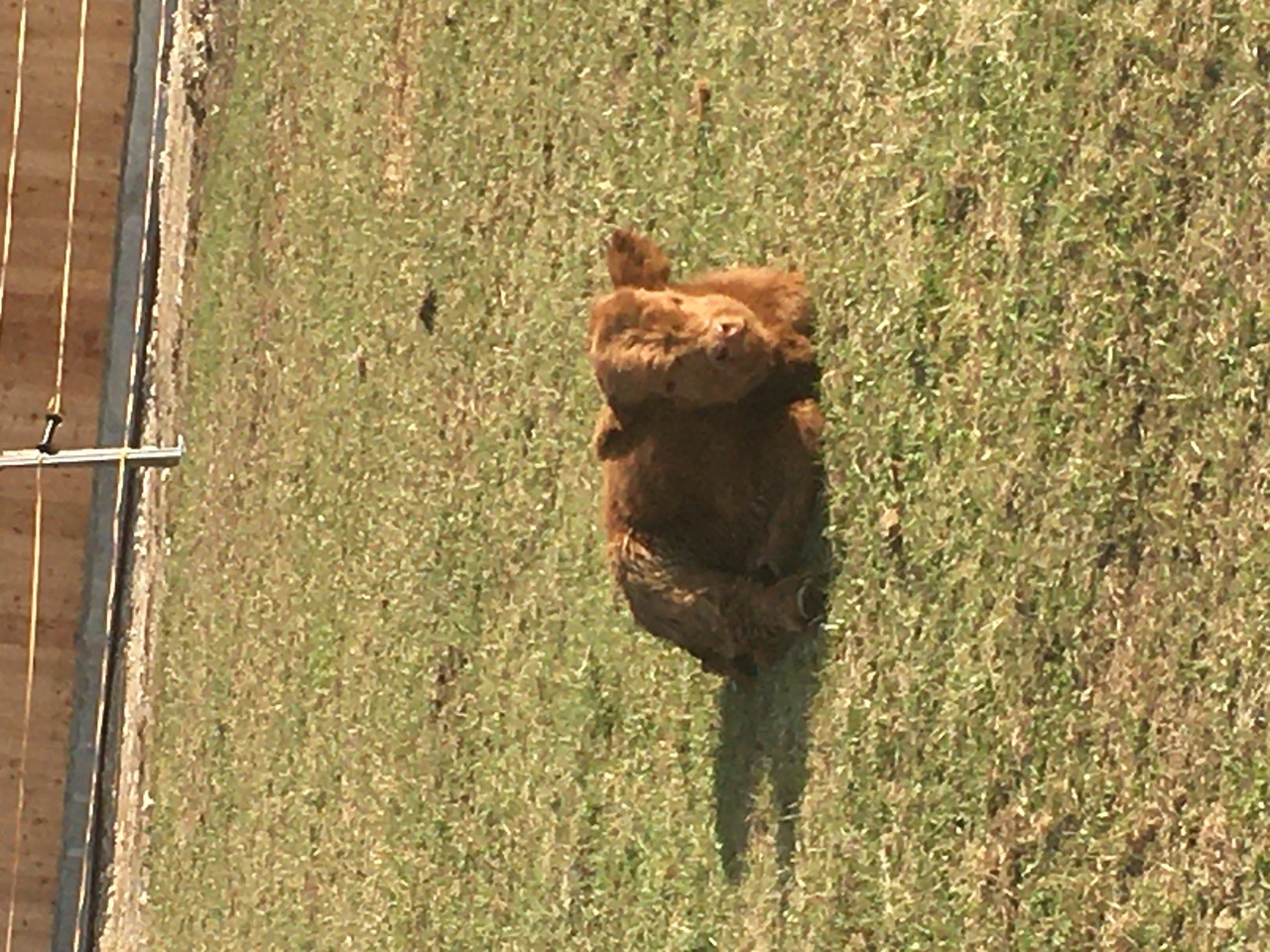 image0+2.jpeg