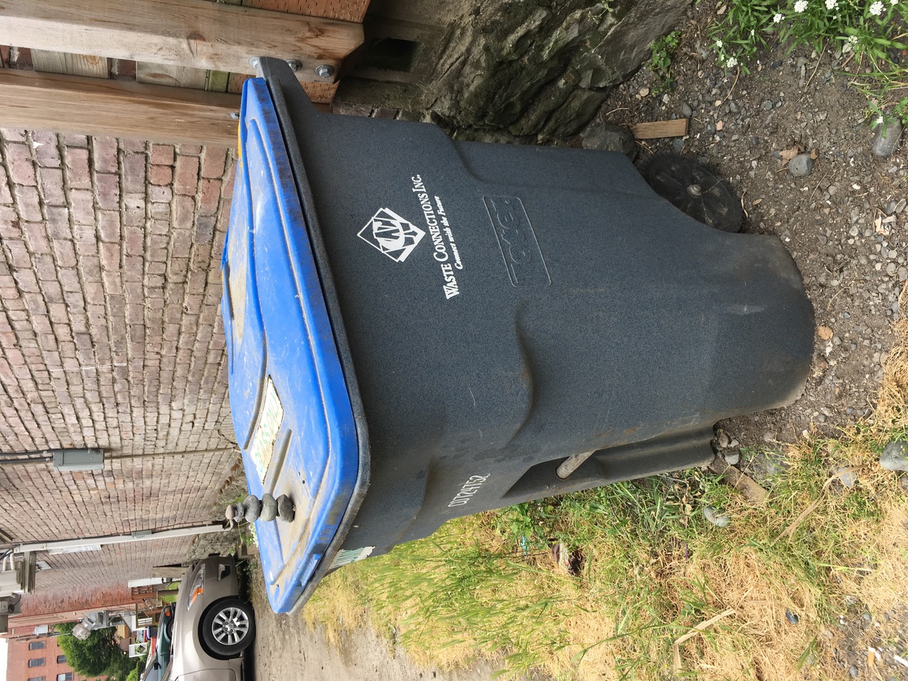 IMG_6919.jpeg