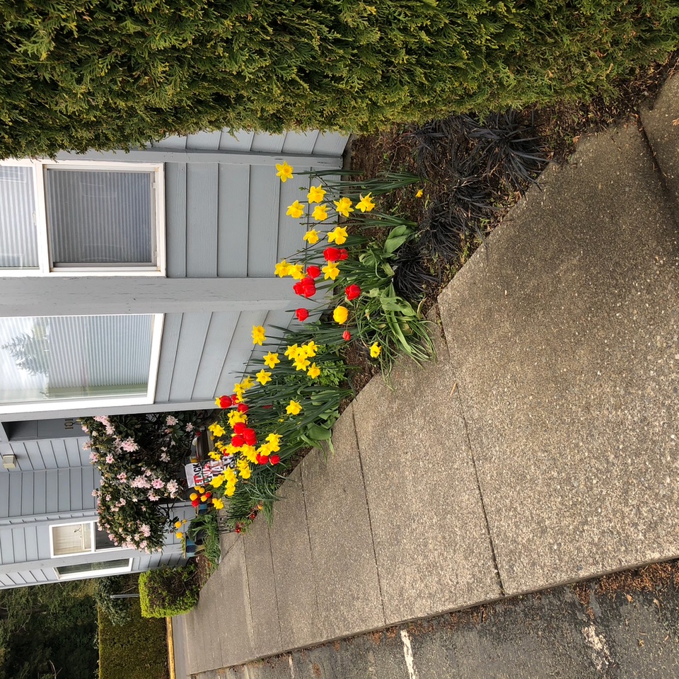 IMG_3007.jpeg