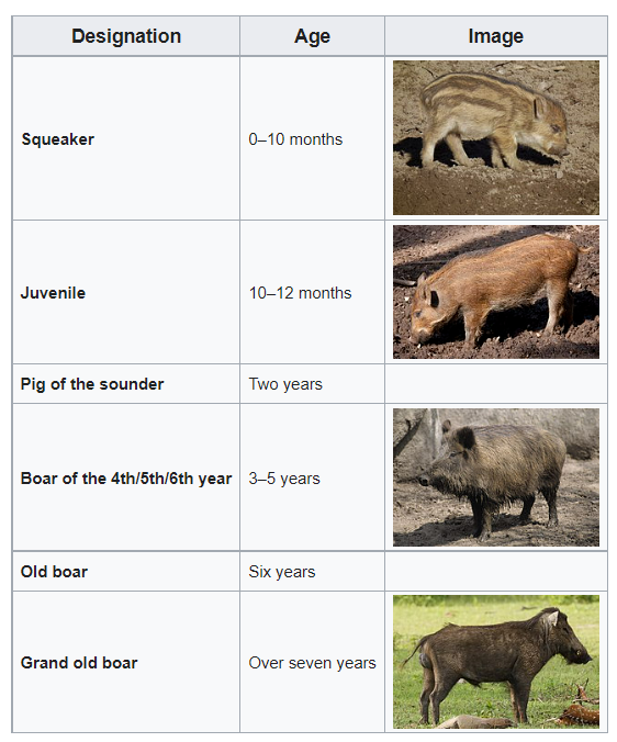 FRZD9-AUcAANZjf.png