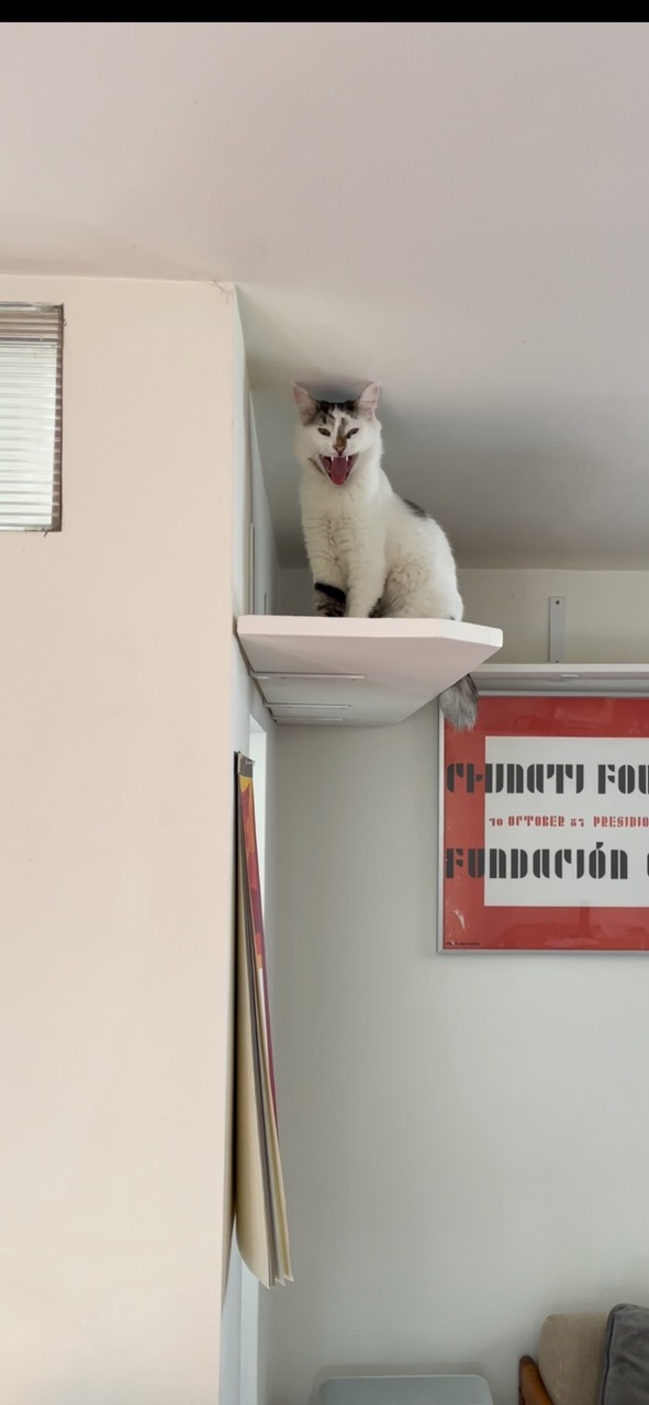IMG_0634+2.jpeg