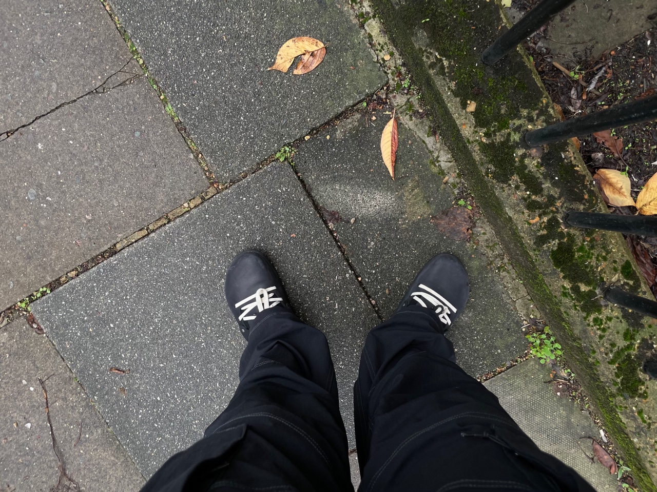 IMG_4827.jpeg