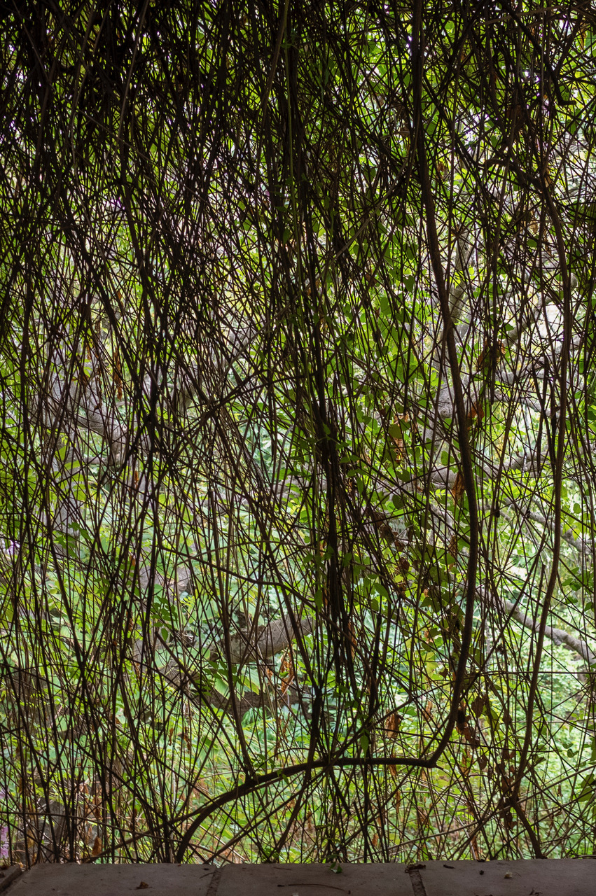 R0005097.jpeg