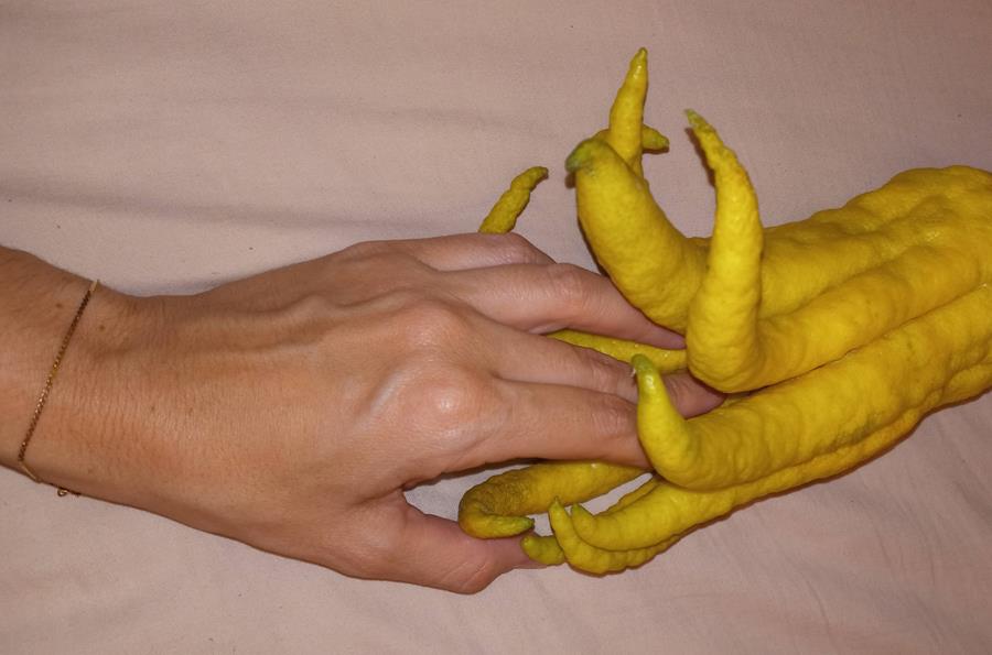 each_hand-9900000000079e3c.jpg