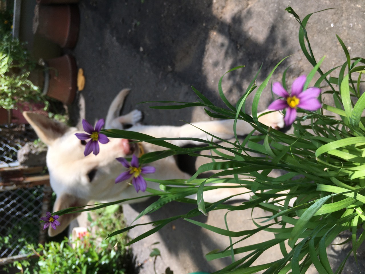 IMG_5661.jpeg