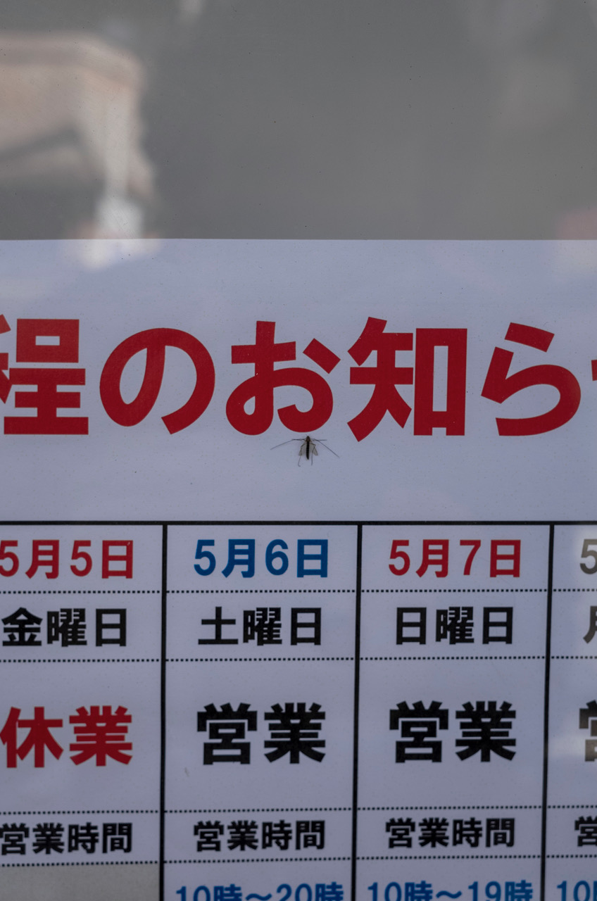 R0006657.jpeg