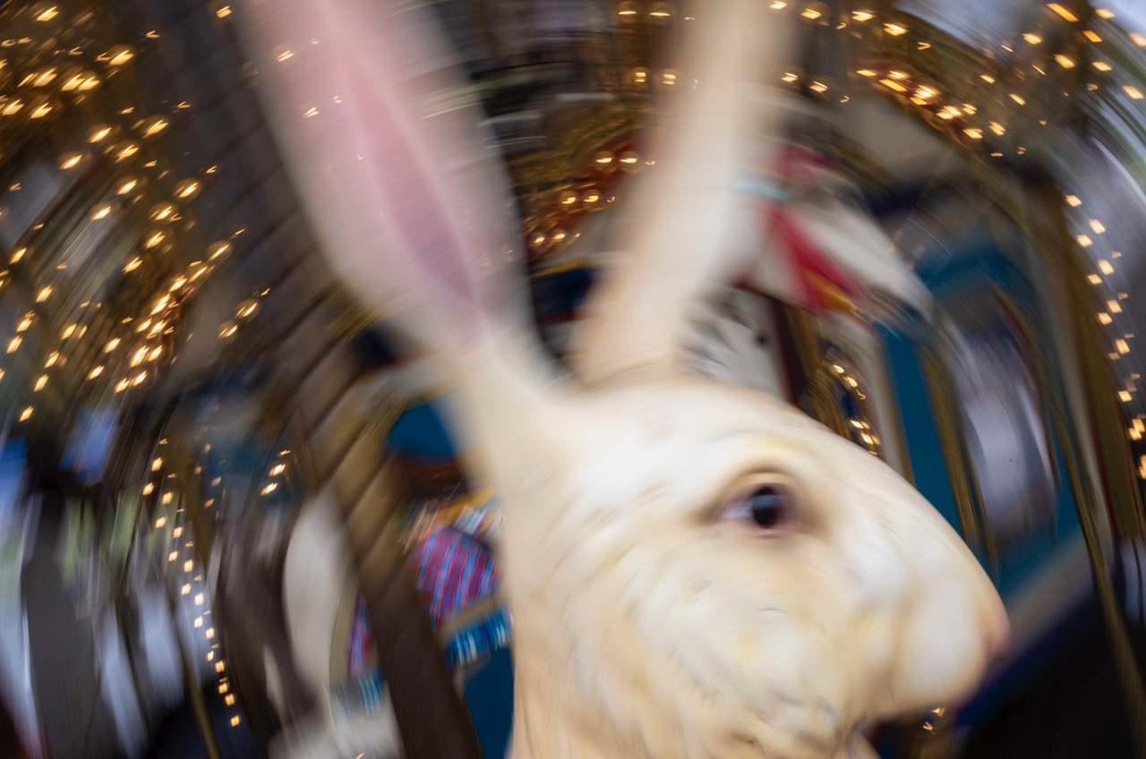 R0007032.jpeg