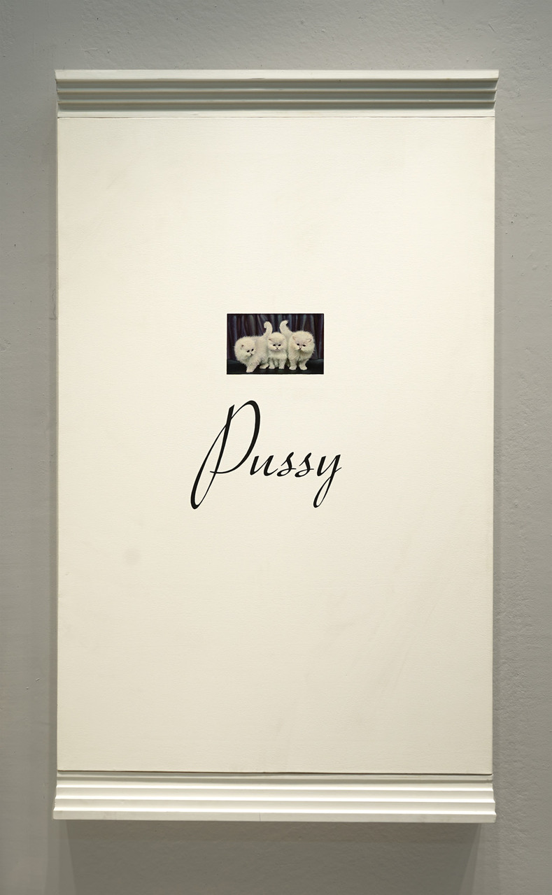 4894085_DSC00290-0043-Pussy-2WEB.jpeg