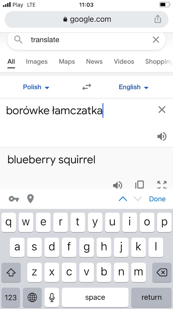 blueberrysquirrel.jpg
