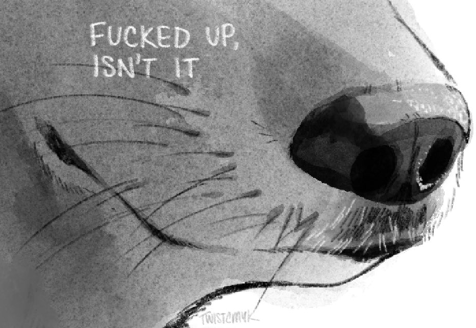 E5J3iT1XIAUapka.jpeg