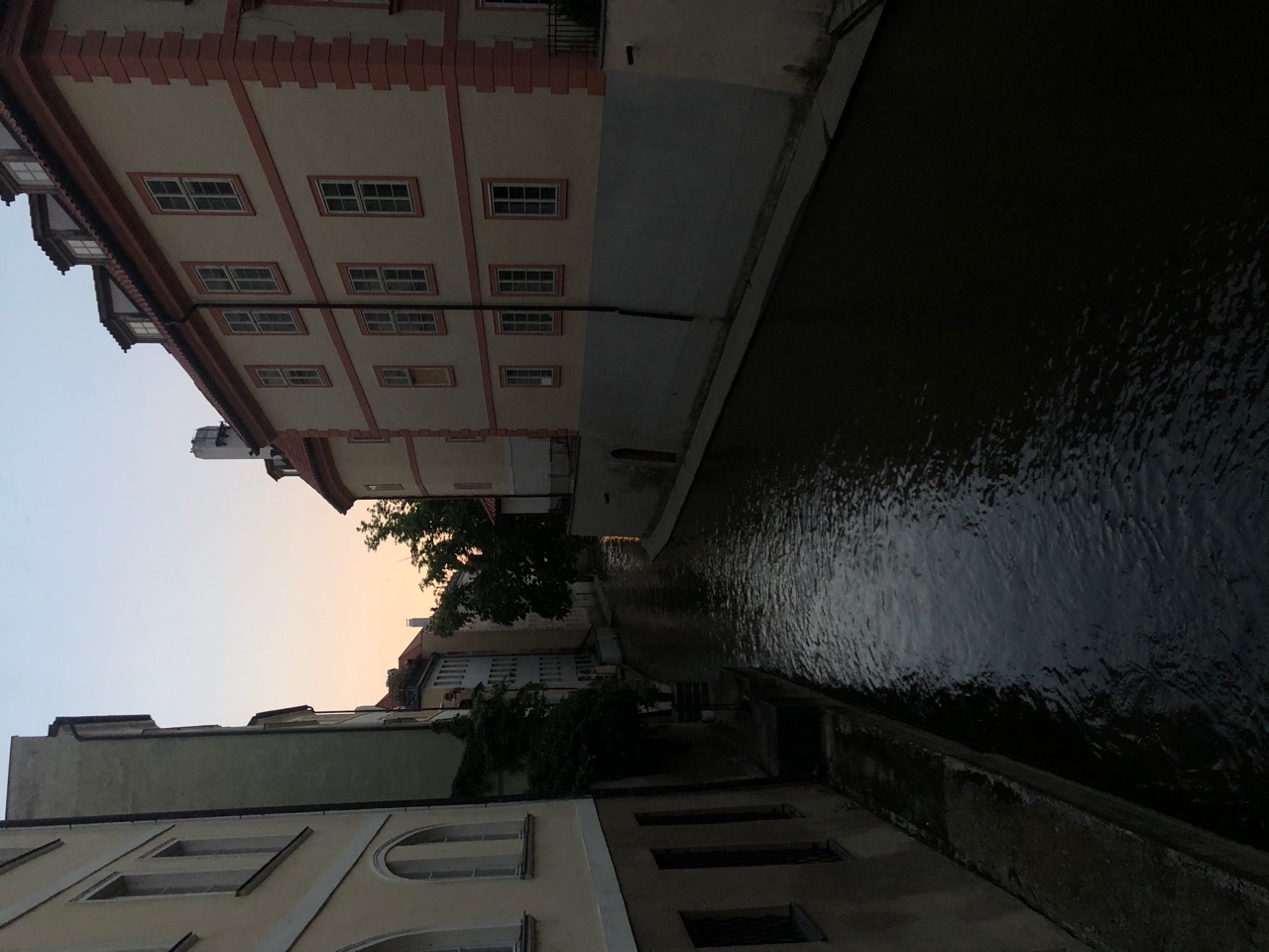IMG_6271.jpeg