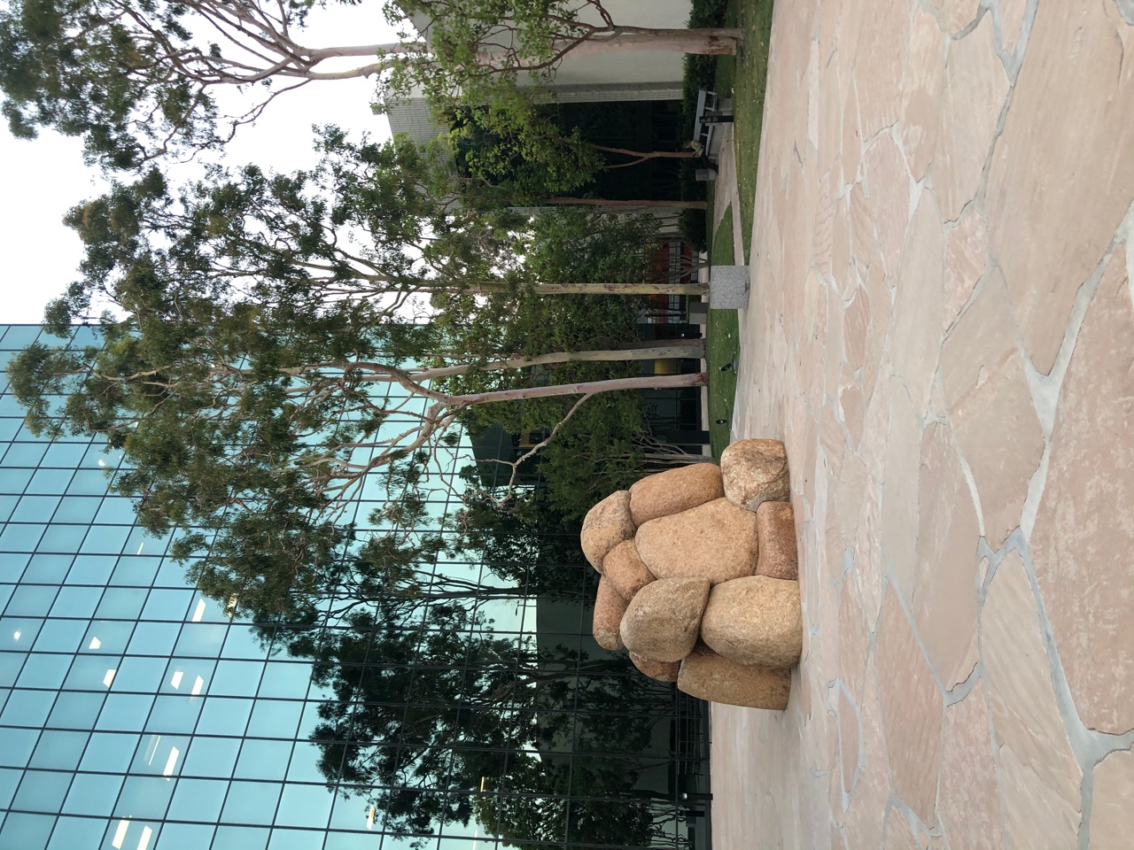 IMG_8402.jpeg