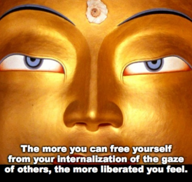 IMG_9464.PNG