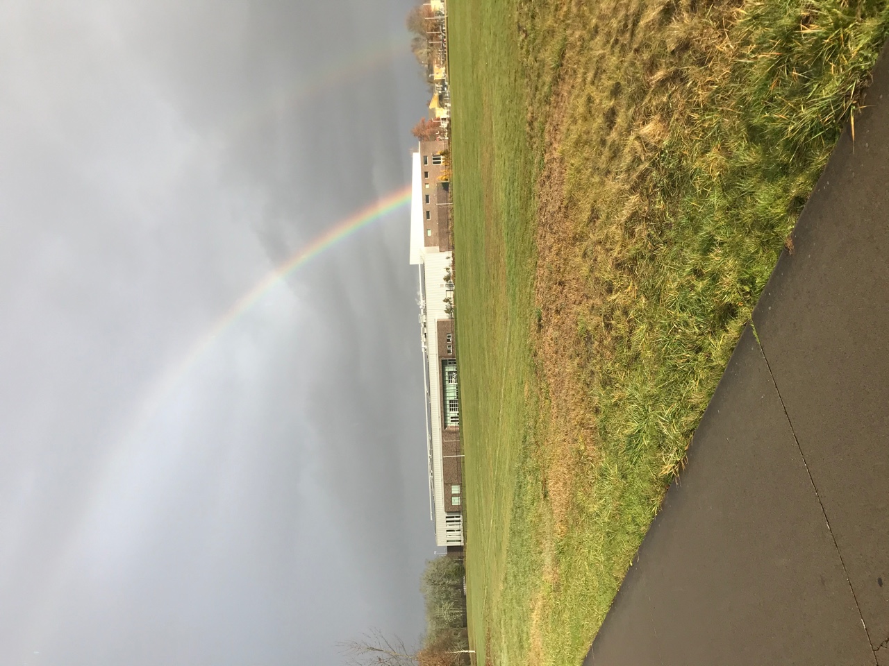 IMG_5695.jpeg