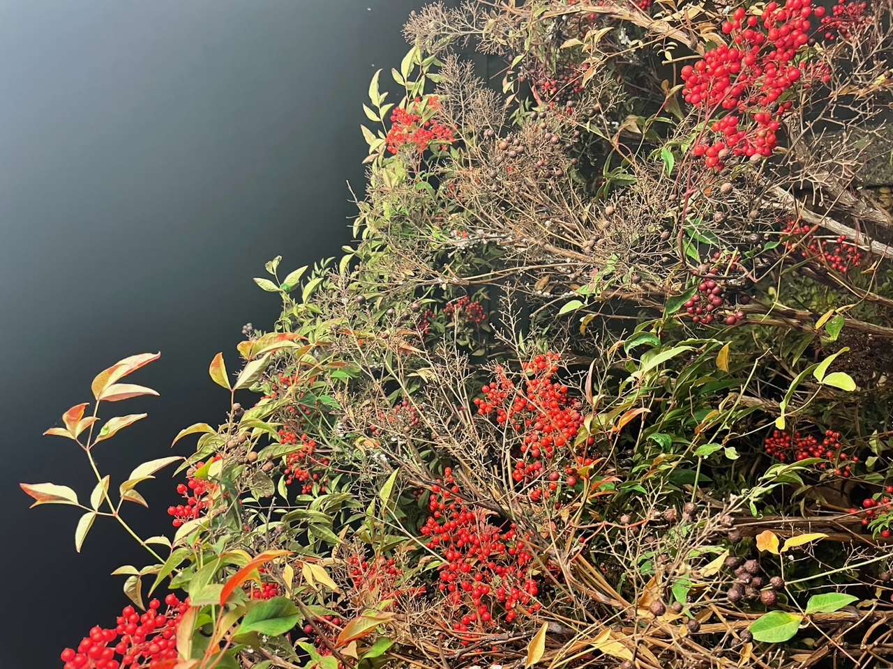 IMG_7704+2.jpeg