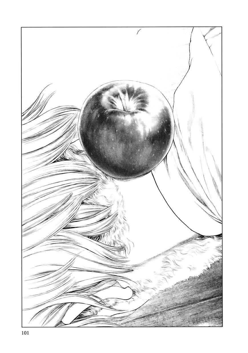 ch81-5.jpg