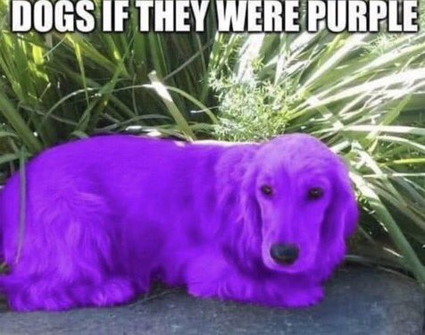 FJjXYyQXIAMgHXr.jpeg