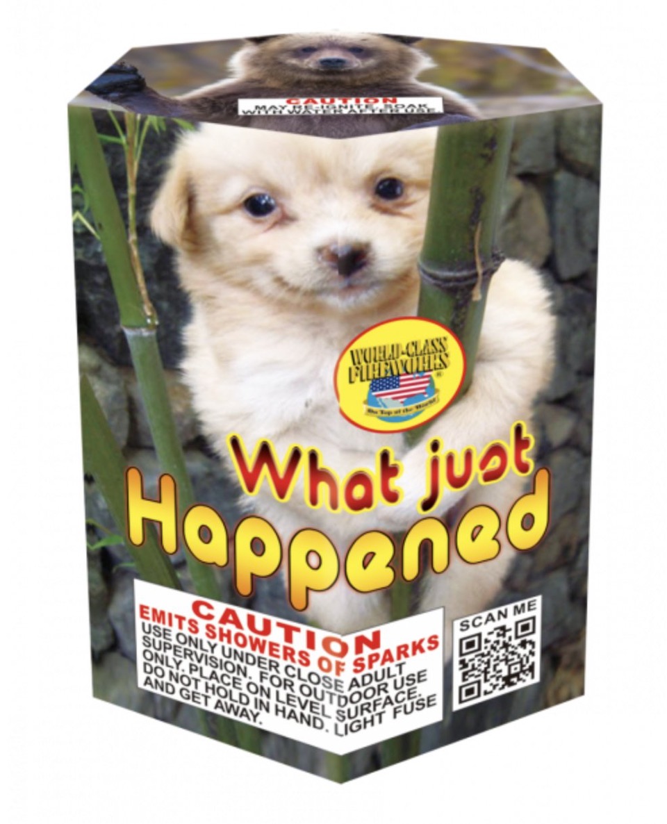 FJy1ptJWQAAi0RY.jpeg
