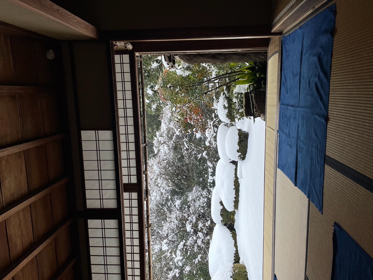 IMG_3957.jpeg