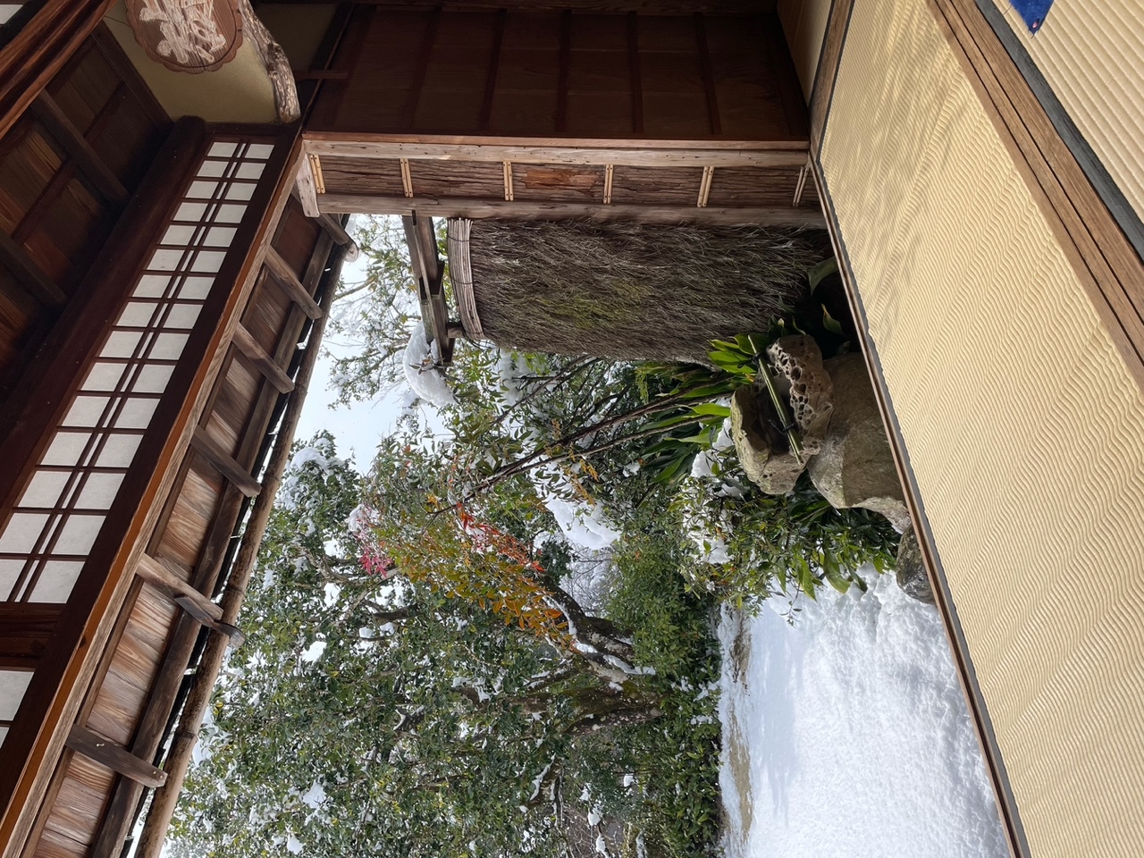 IMG_3958.jpeg