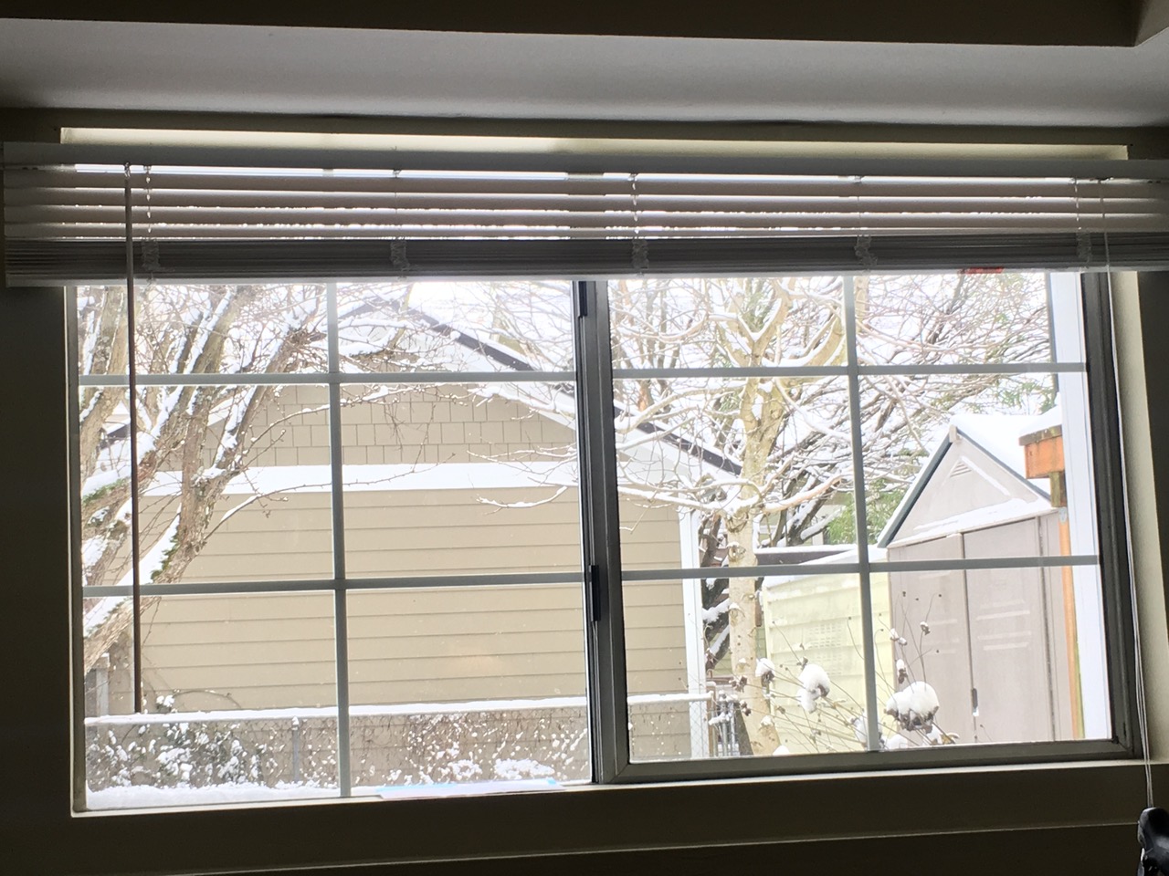 IMG_0111+2.jpeg