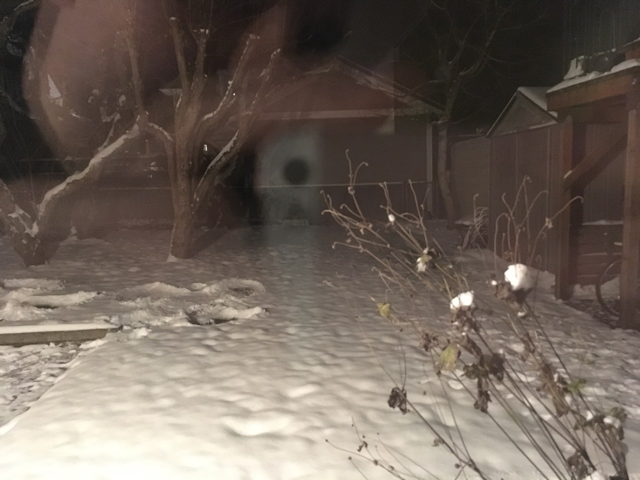 IMG_0112+2.jpeg