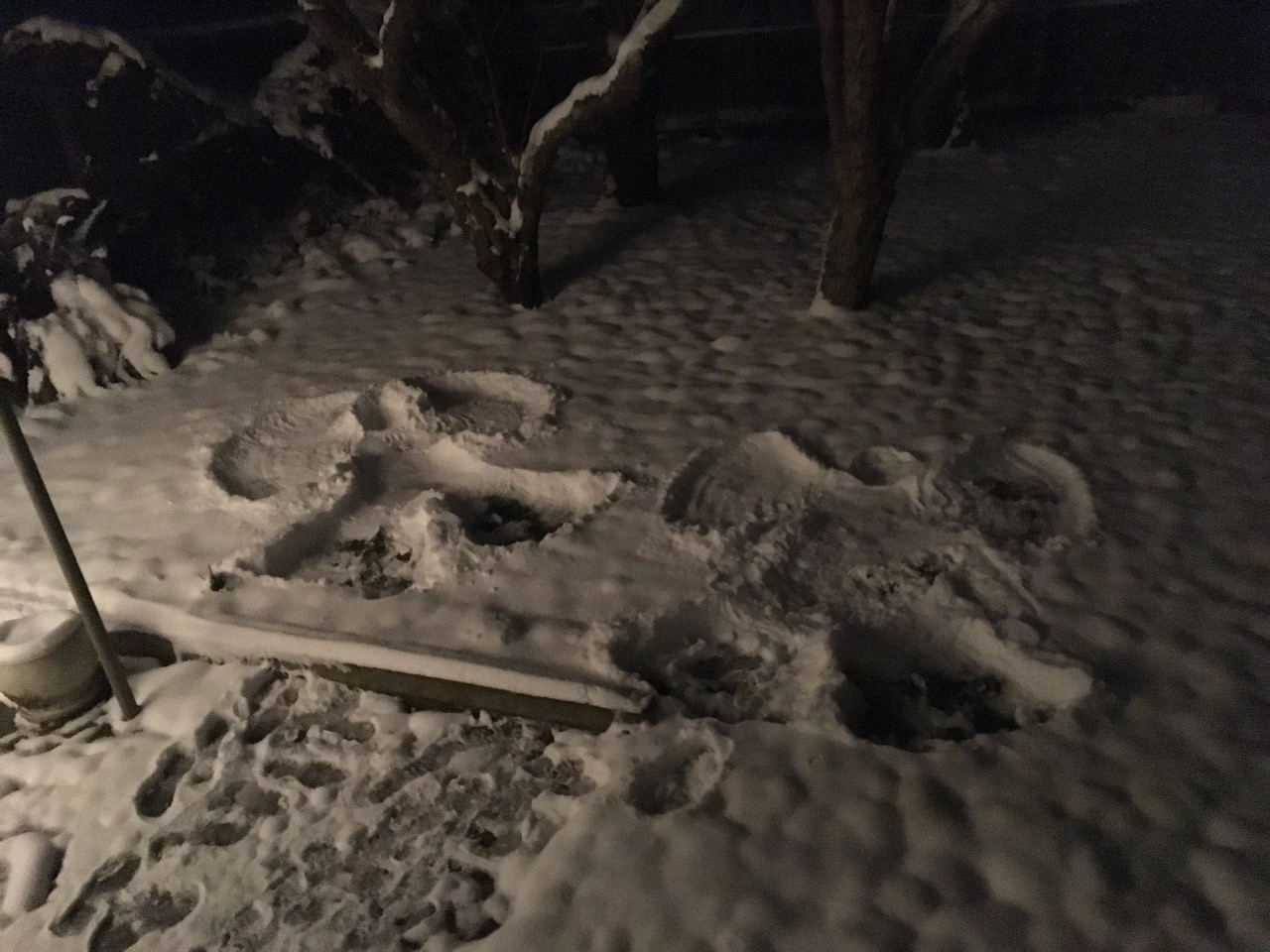 IMG_2439+2.jpeg