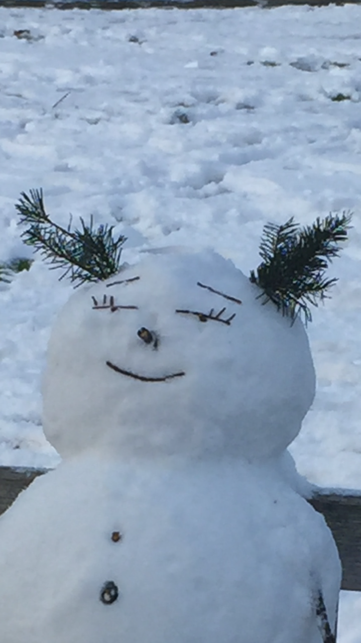 IMG_2722.PNG