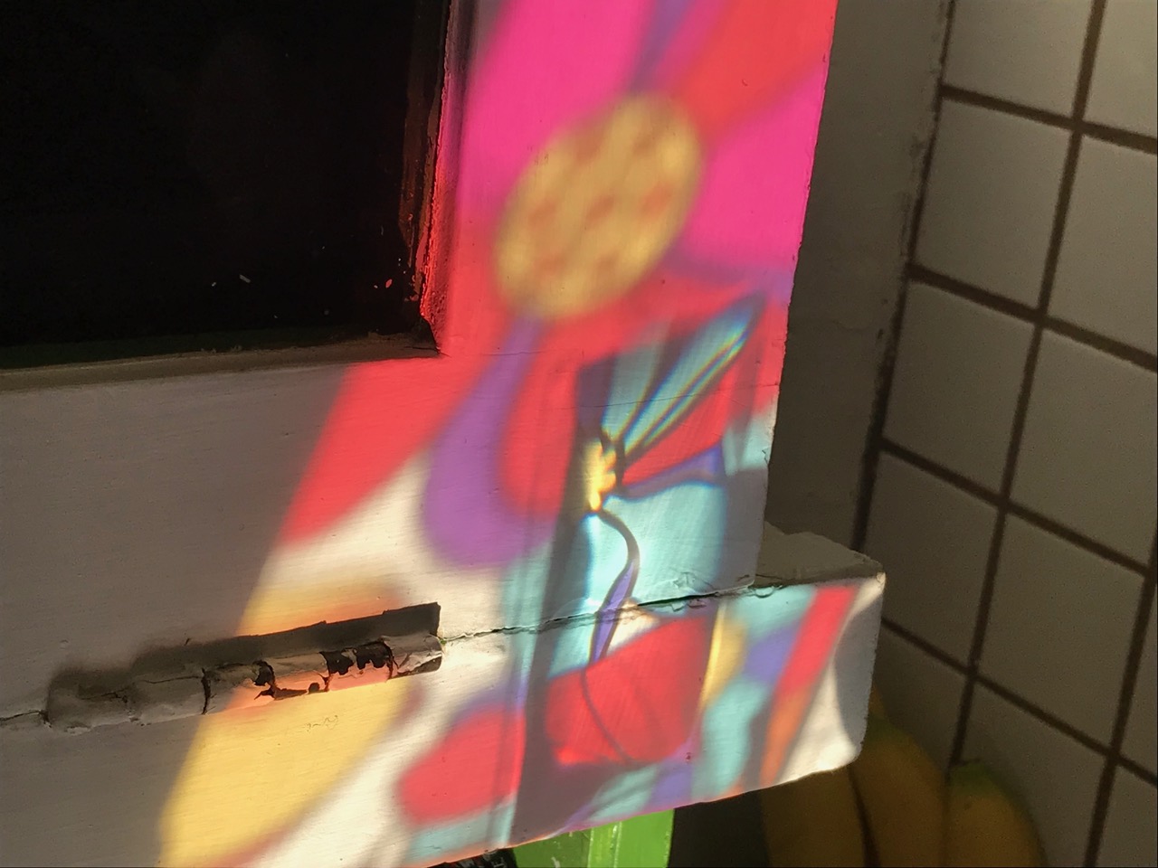 IMG_7141.jpeg