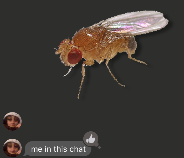 Screen+Shot+2019-02-05+at+2.27.50+PM.png