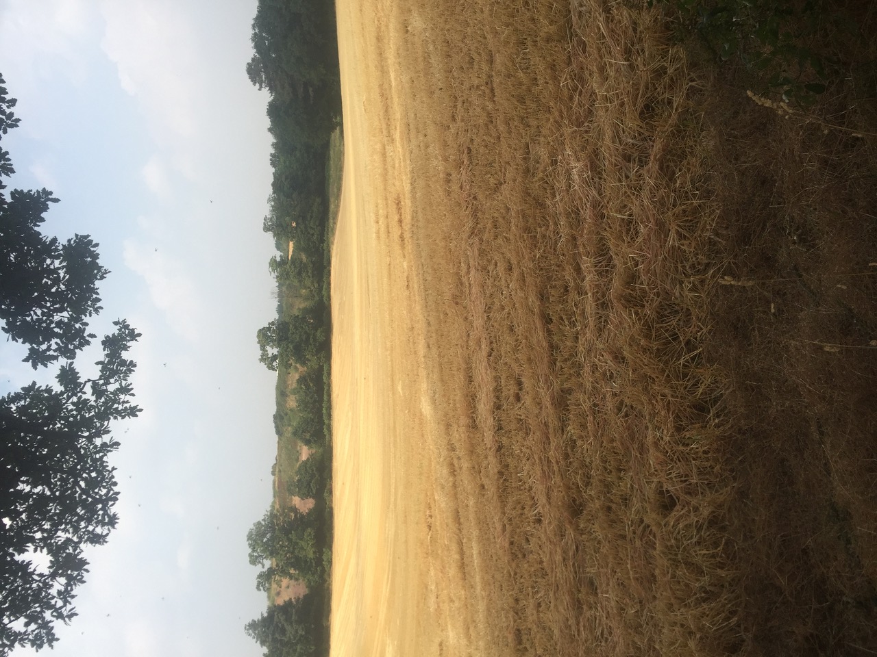 IMG_4027.jpeg